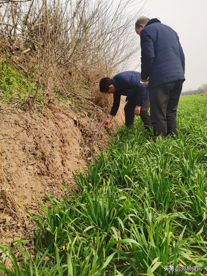 南阳黄山遗址规划图,南阳黄山遗址博物馆规划方案