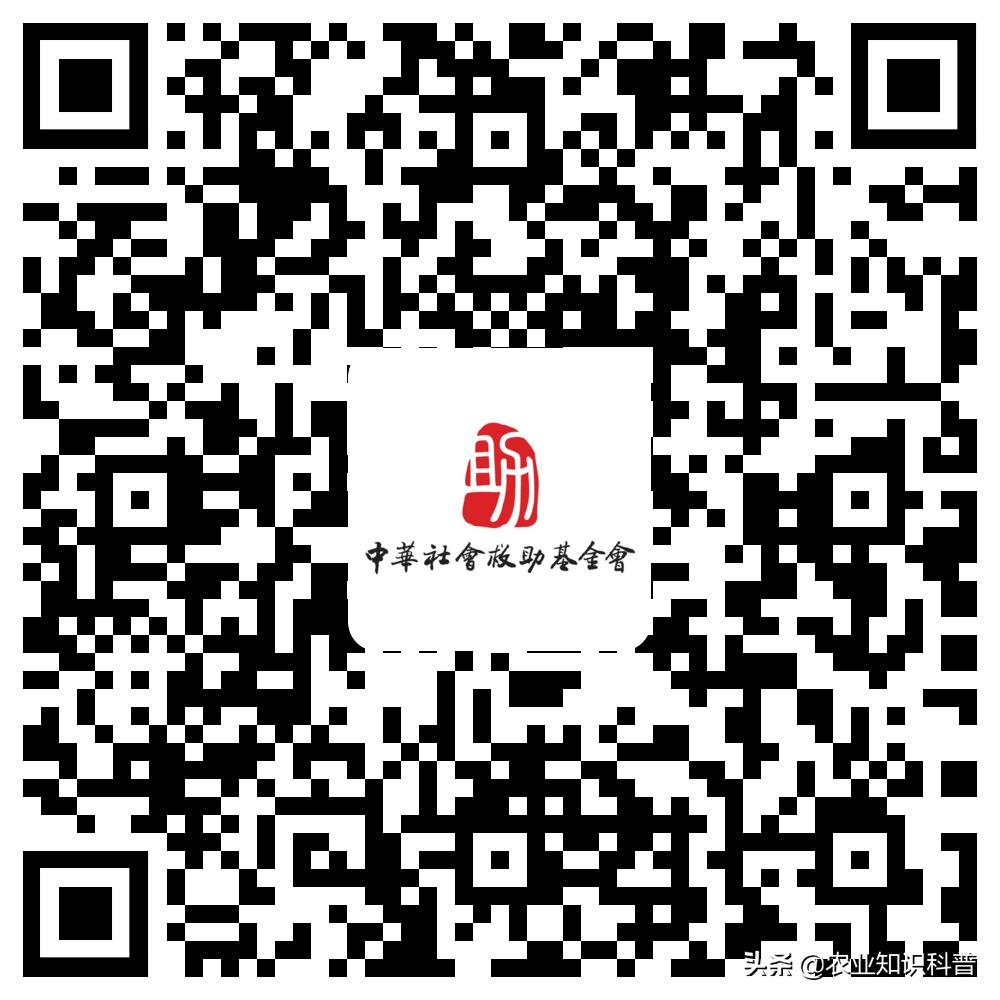 5岁男宝反复发烧39度隔十天又烧,5岁男童反复高烧39.3度怎么办
