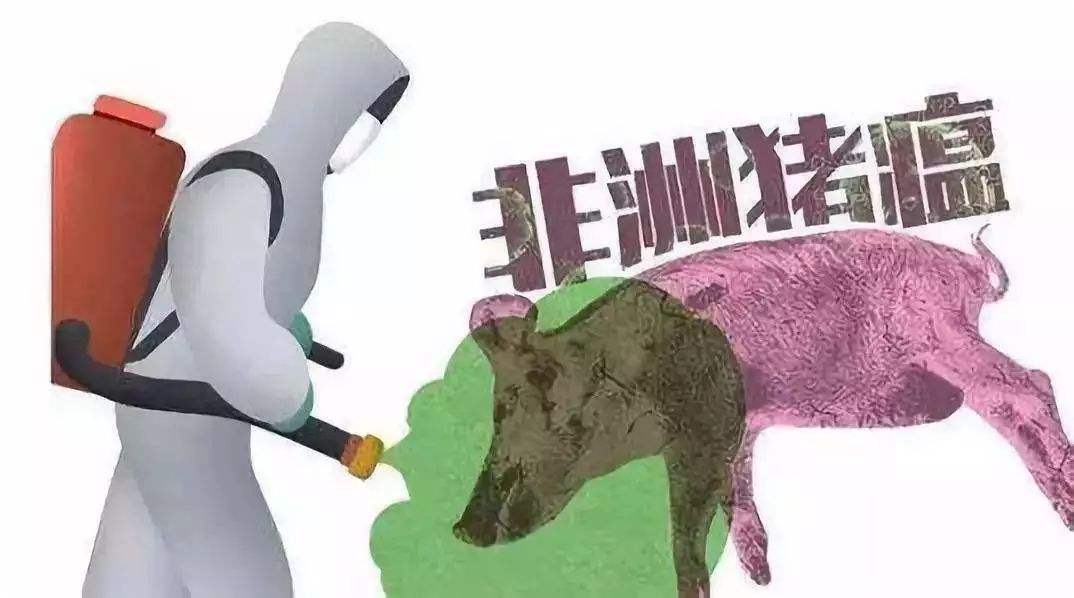 猪场发生疑似非洲猪瘟怎么办?1步、2步、3步,教你正确处理非瘟