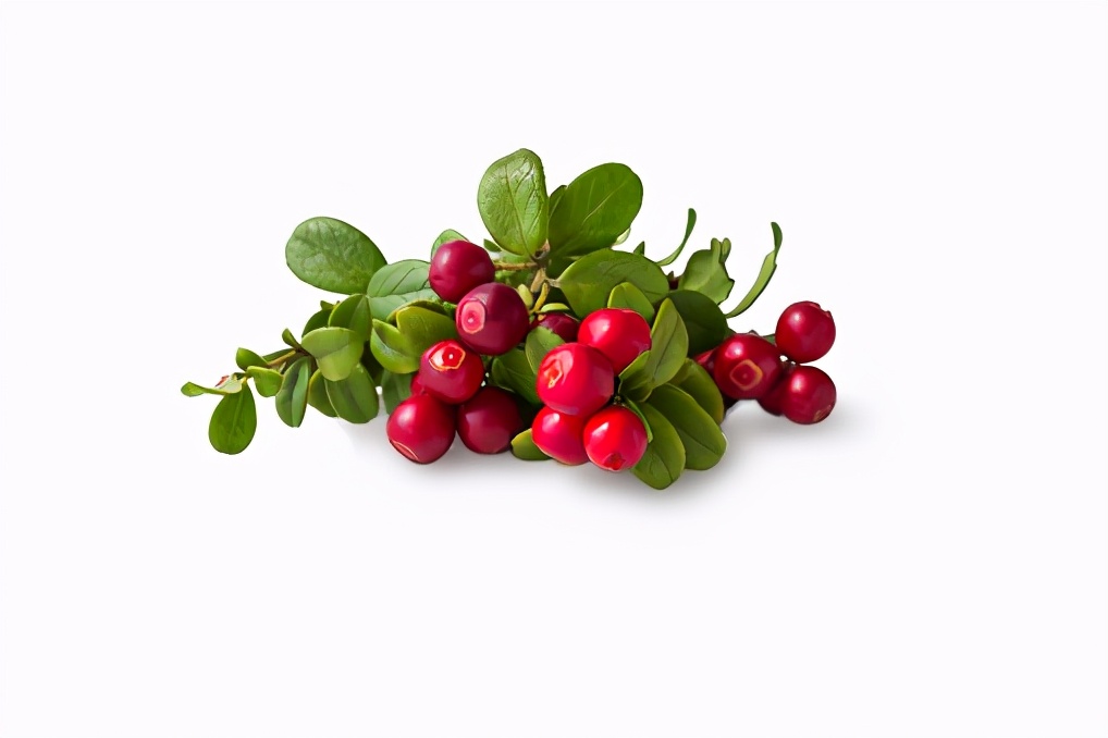 药学博士美白祛斑成分,美白淡斑成分测评