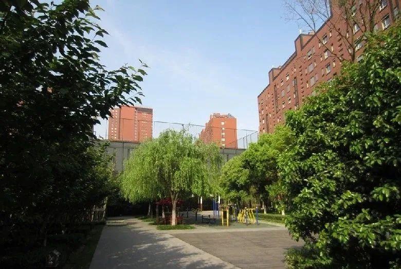 那些年我们追过的星完整版,那些年我们追过的神番