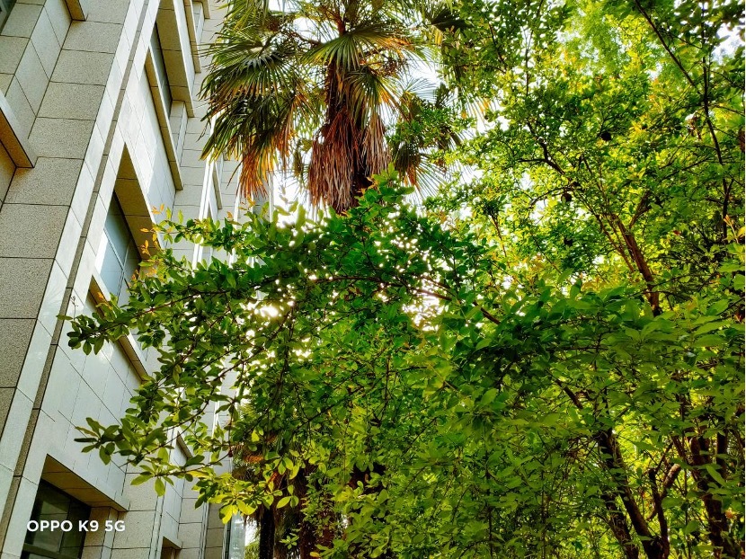 轻体验“对K套装”，大欧玩超值体验究竟如何？