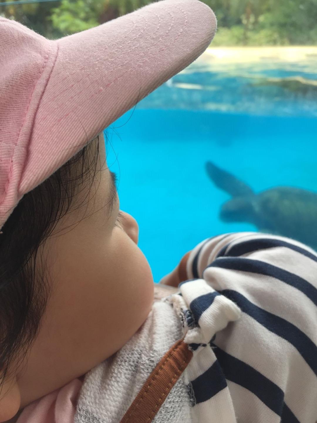 珠海长隆海洋王国附近美食,珠海长隆海洋王国官网预约