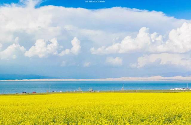 等待一个人来一场说走就走的旅行,等一个人陪我去秋天的腾冲