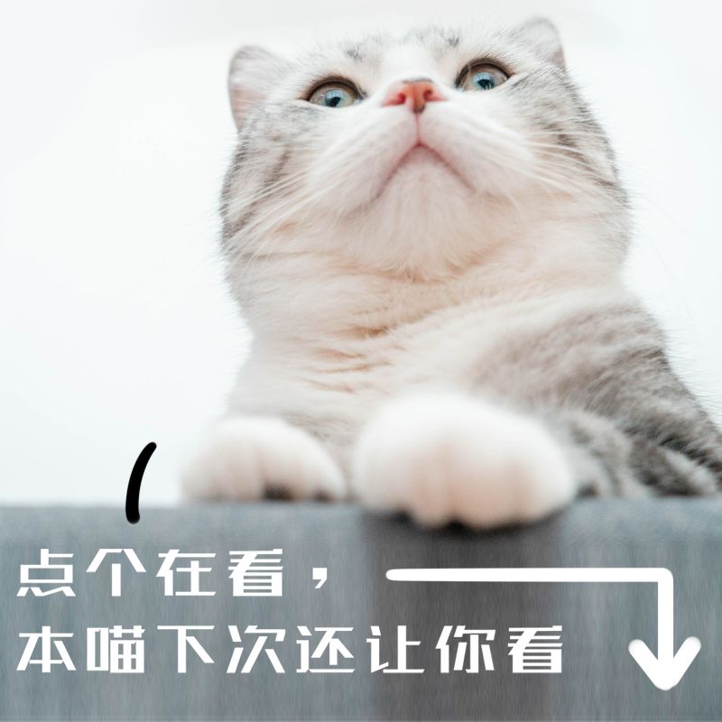 当猫咪剃了毛之后,春天猫咪剃了毛一直发抖