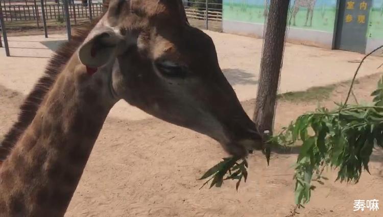 洛阳隋唐植物园五一期间要门票吗,五一去昆明植物园还有花可看的吗