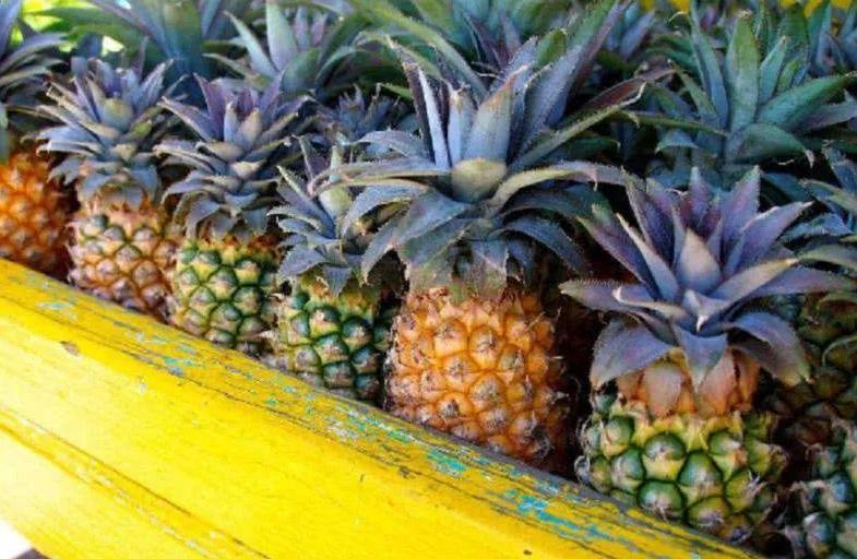 菠萝怎么用盐水泡着吃,吃菠萝之前除了泡盐水还能怎么用