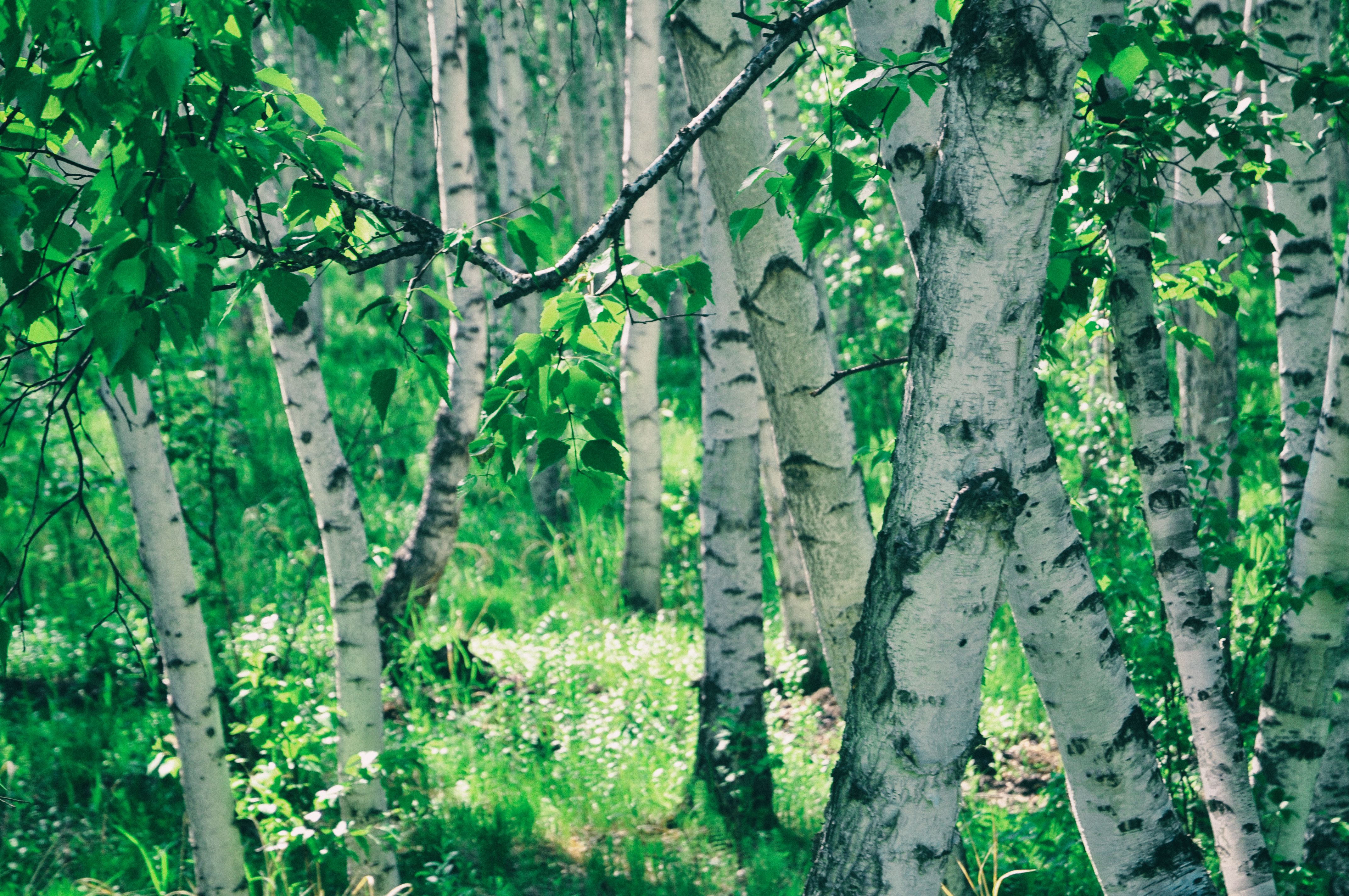 南方人自驾来东北是啥体验,15天一万公里的新疆感受