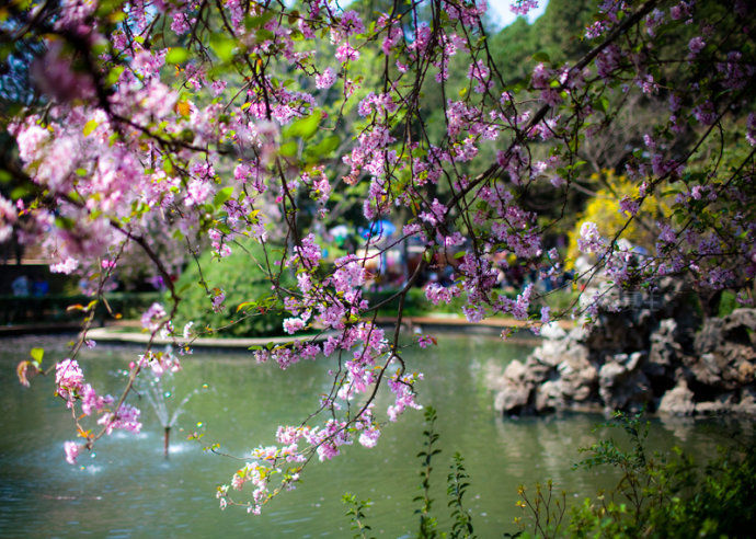 上海到洛杉矶直飞机票,上海直飞纽约机票