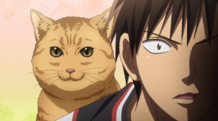 青春恋爱物语果然有问题江口拓也,江口拓也有配过明日方舟的声优吗