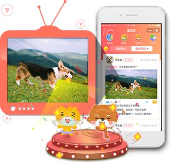 怎样判断铲屎官好坏,铲屎官的鉴定方法视频