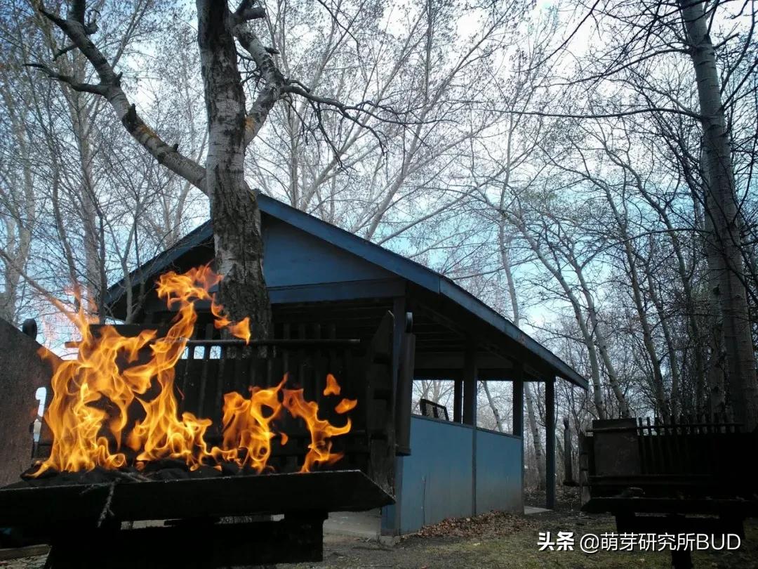 亲子不过夜露营必备物品清单,户外露营小攻略2人