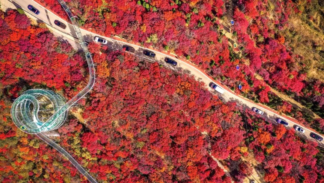 打造地方特色文旅项目,重磅打造的文旅项目