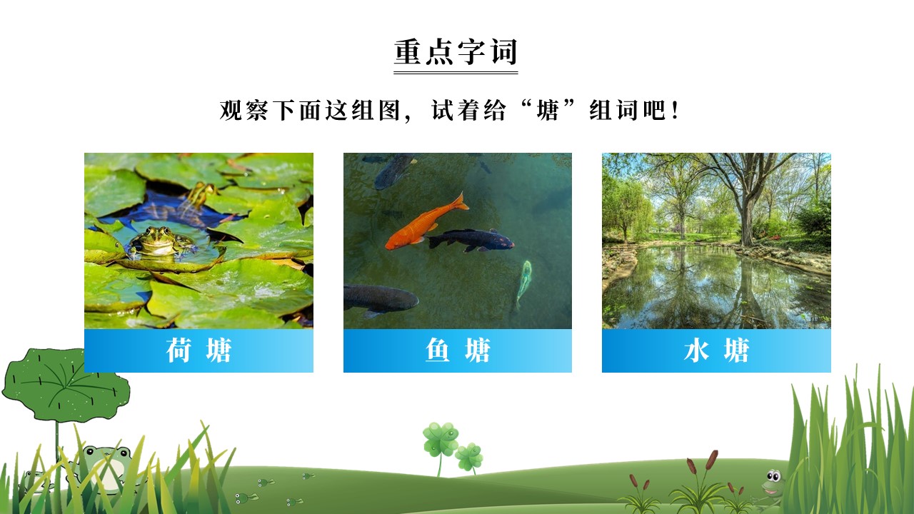 二年级语文小蝌蚪找妈妈教学视频,二年级语文小蝌蚪找妈妈教学教案