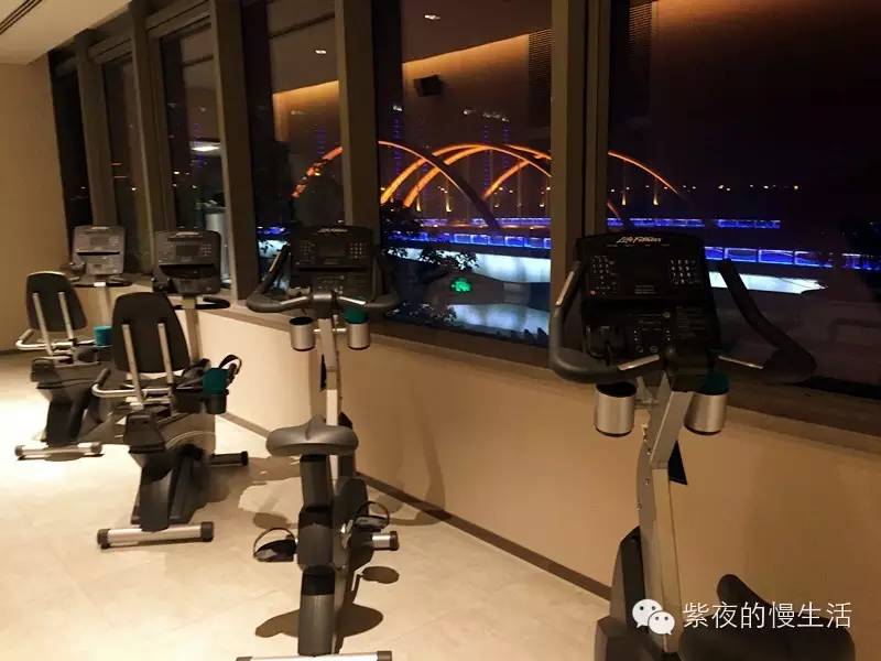 苏州带宠物去的古镇,苏州小众宠物乐园推荐