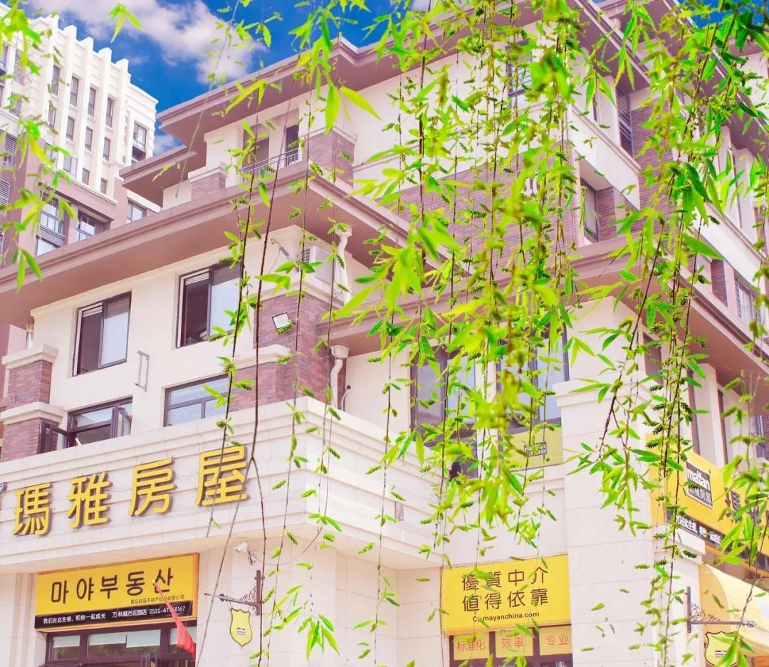 相信专业的力量,相信专业的力量提高效率