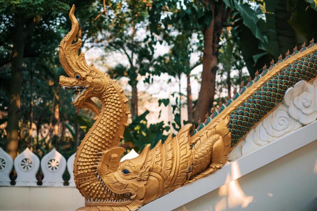 西双版纳蓝孔雀江景主题酒店,西双版纳告庄双景酒店攻略