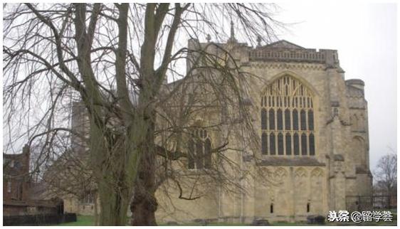 英国本科预科推荐学校,英国南安普顿大学预科班