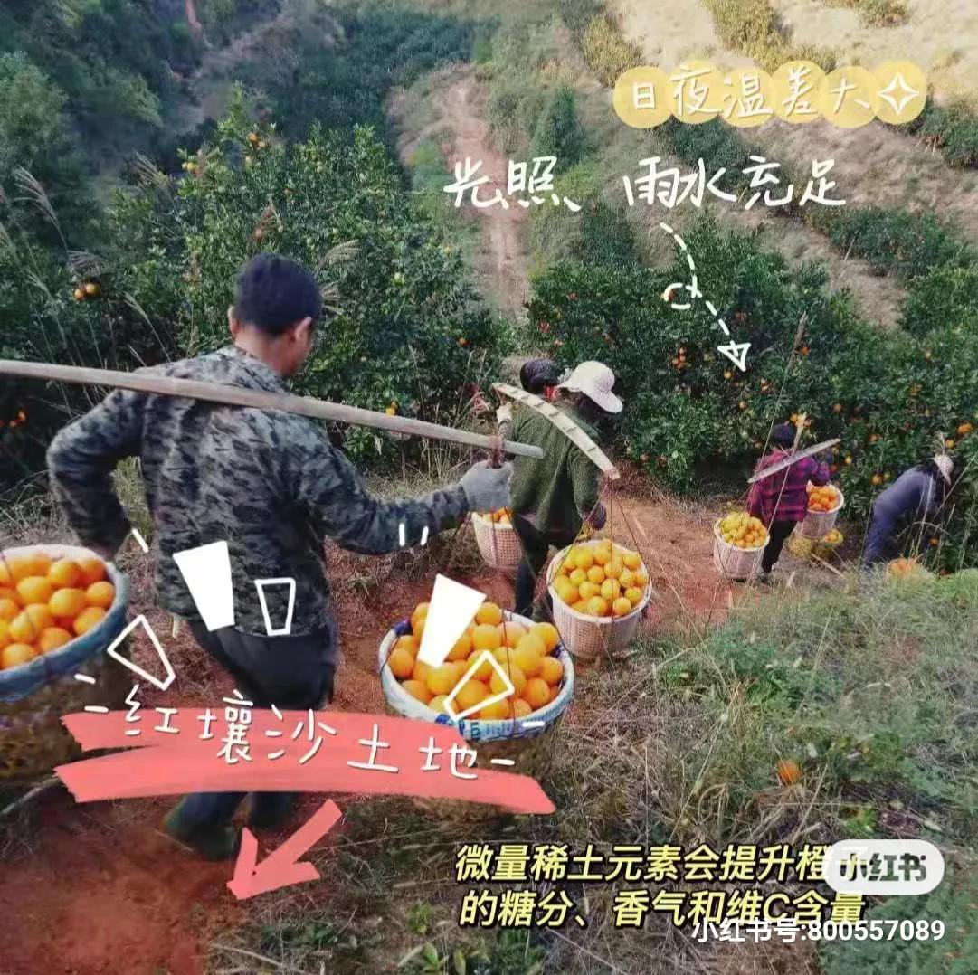 离城市很近离太阳很远,离城市很远离太阳很近的城市