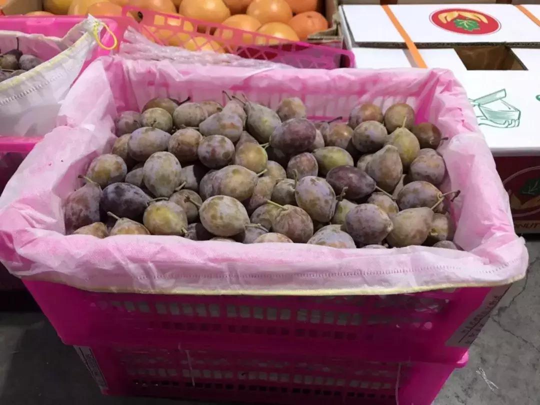 进口的水果有哪些,进口水果标准是什么