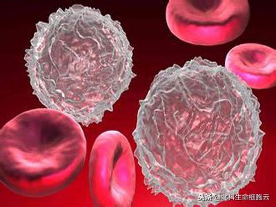 cart免疫治疗实体肿瘤最新突破,car-t免疫疗法