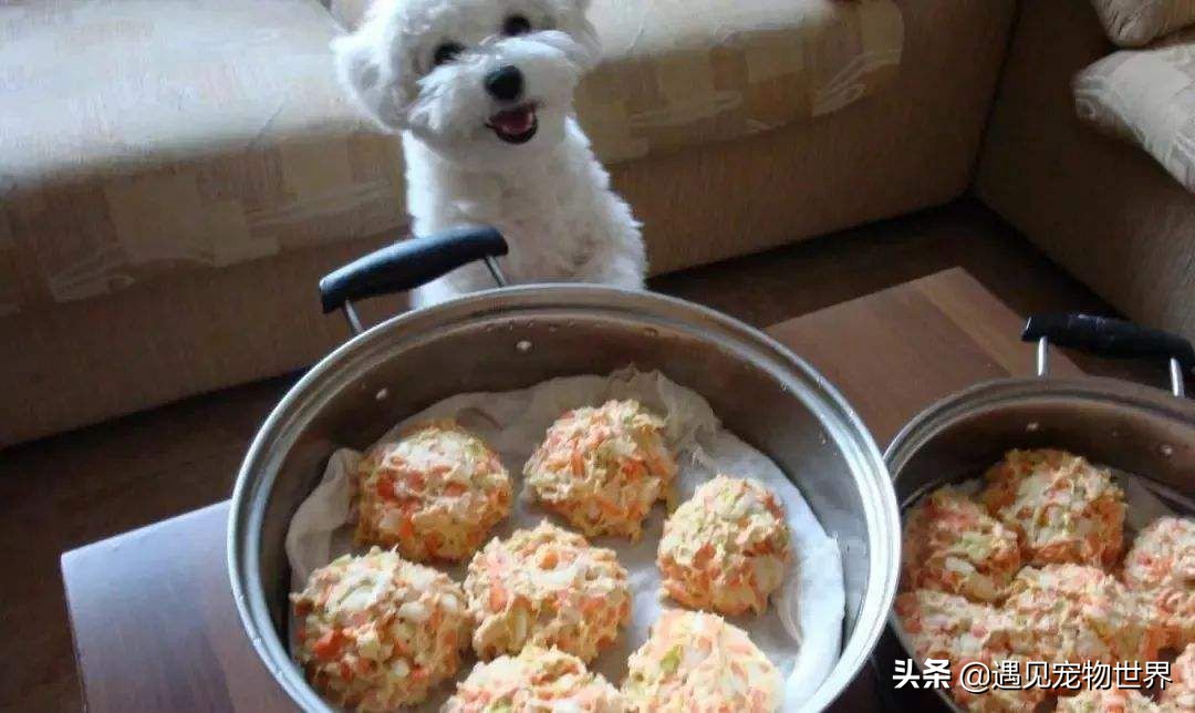 自制狗粮烘干方法,比熊自制狗粮的做法大全