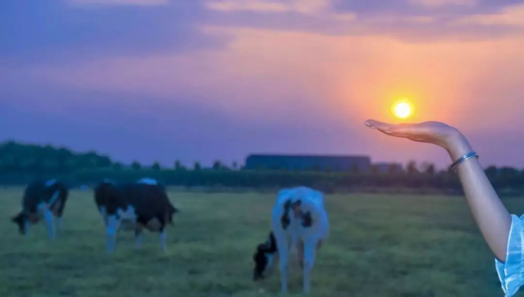 祥和庄园一日游,享受美食和田园风光的完美之旅