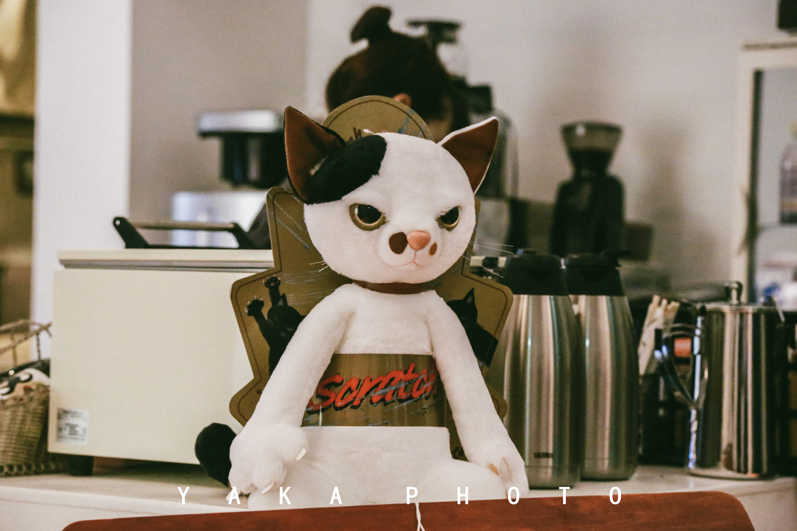 日本青森睡魔祭举办时间,日本的青森值得去么