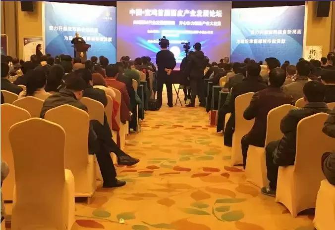 宝鸡市面皮加盟店有哪些,宝鸡排名第一的擀面皮加盟