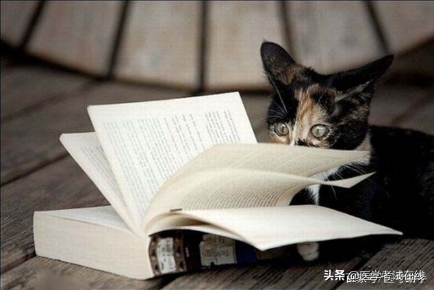 护考怎么在网上缴费,护考网上缴费步骤