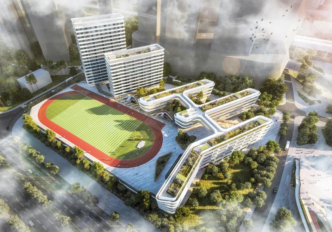 深圳龙华2019公办招生情况,深圳龙华区学校招生方案