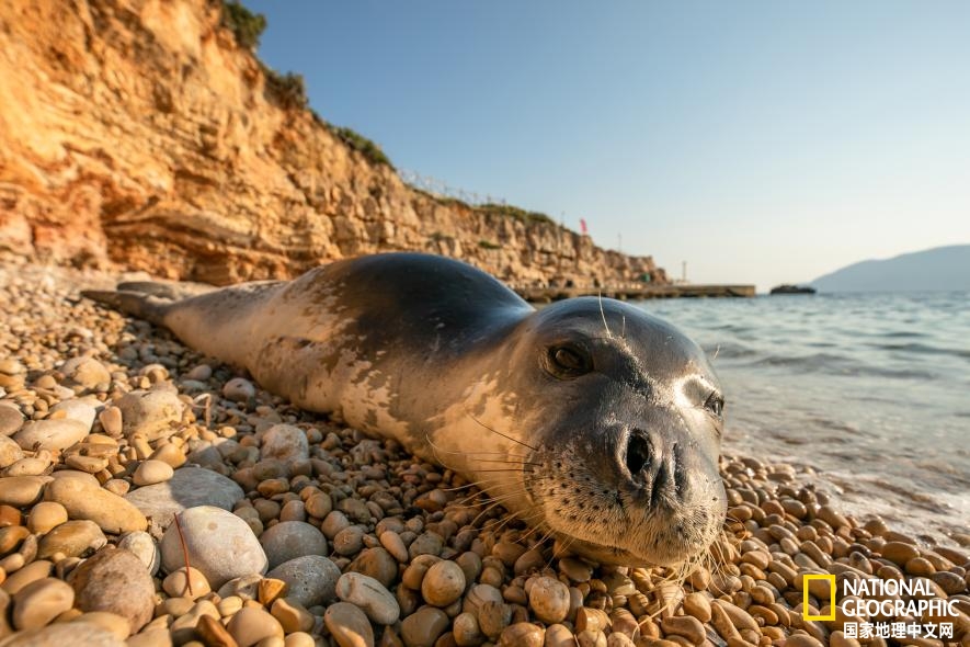 探索水下沉船宝藏,水下沉船博物馆