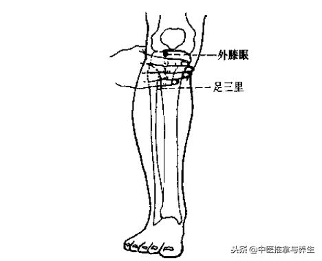 膝盖风湿关节痛推拿哪个穴位,膝盖疼痛风湿关节炎穴位治疗法
