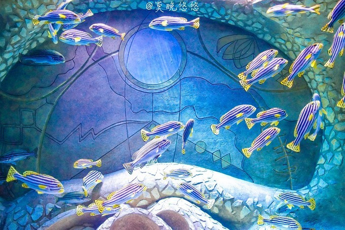 七星级酒店亚特兰蒂斯,三亚七星级酒店亚特兰蒂斯门票