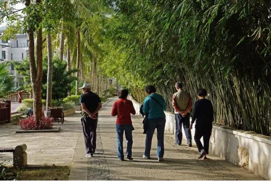 65岁大爷为了降压，晨练中风，医生：高血压患者可以做5种运动