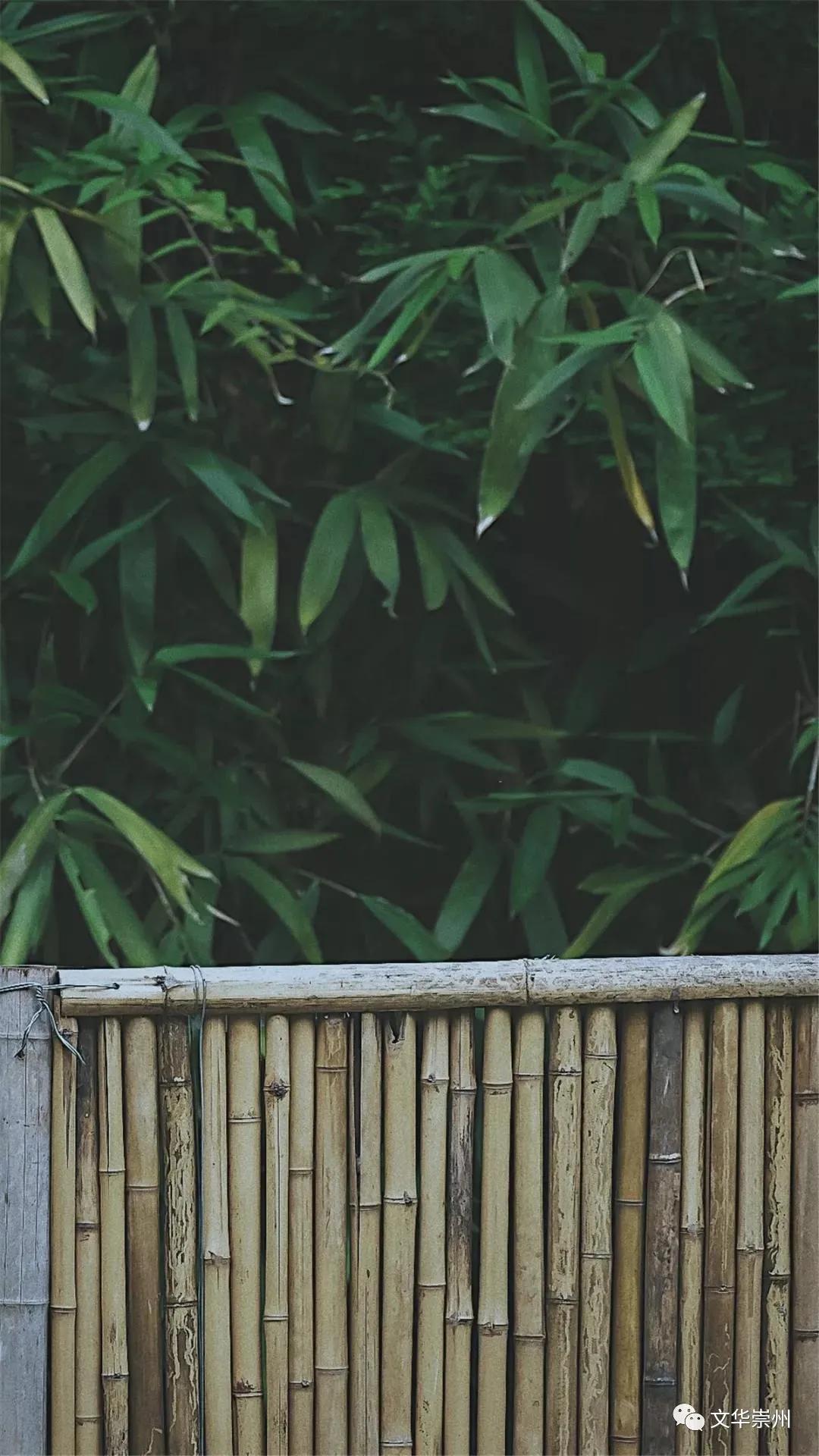 山川美景与世无争的世外桃源,依山傍水尽享人间仙境