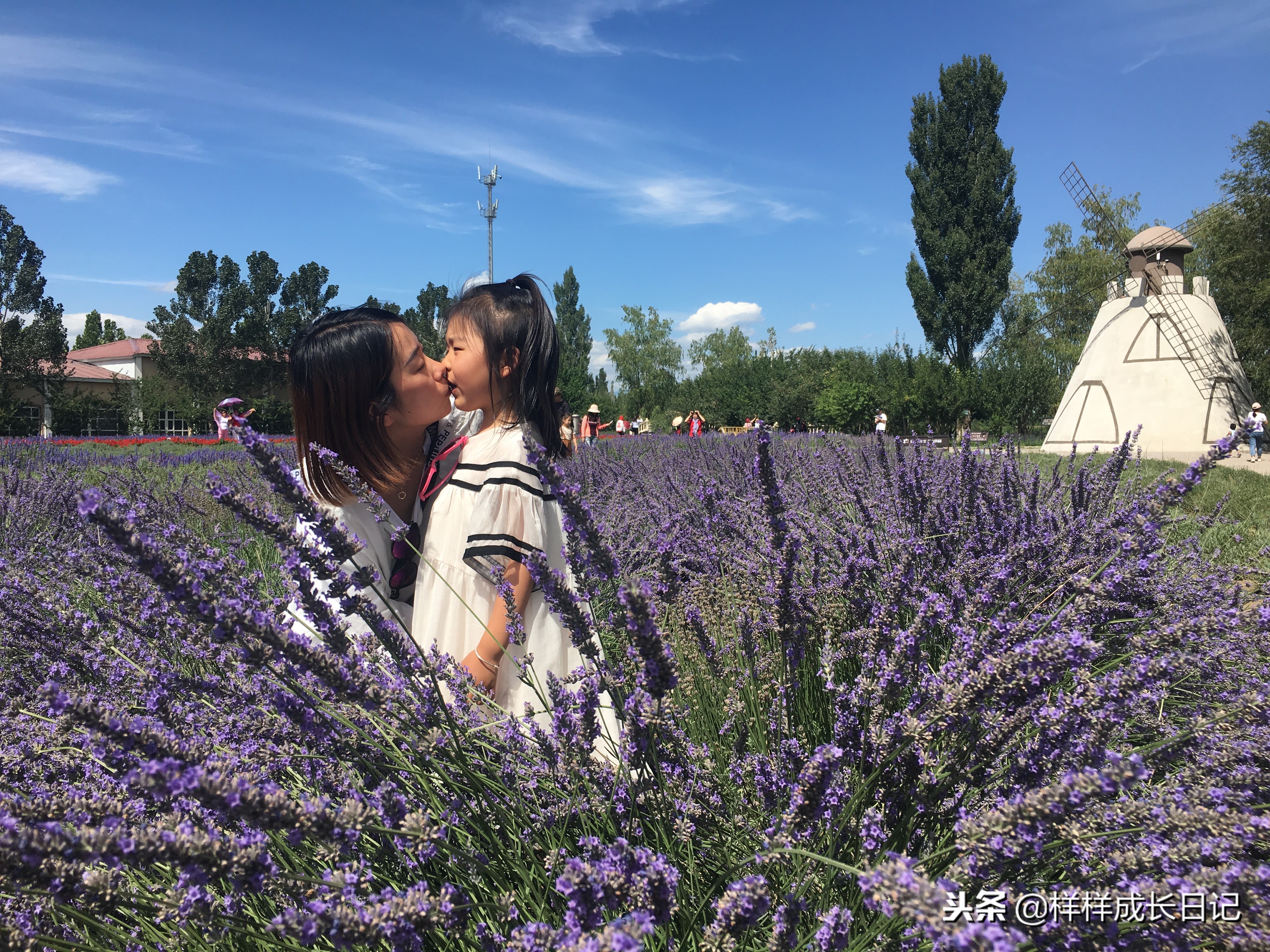 一家三口新疆伊犁旅游,自驾游霍尔果斯路线攻略