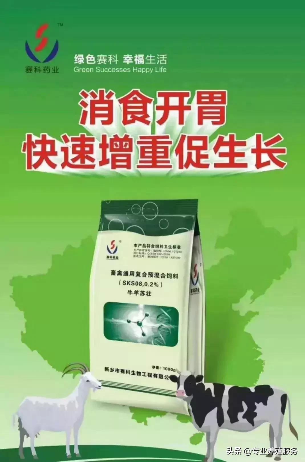 羔羊腿软站不起来与三种疾病有关,羔羊腿软站不起来怎么治疗