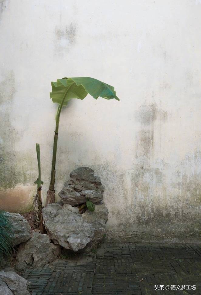 中考满分作文欣赏回家,中考满分作文欣赏经典散文