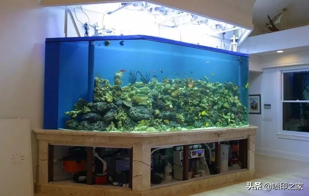 亚克力涨钱吗,亚克力暴涨吗