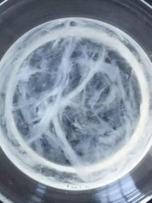 燕窝真假用什么方法鉴别,燕窝真假鉴别方法