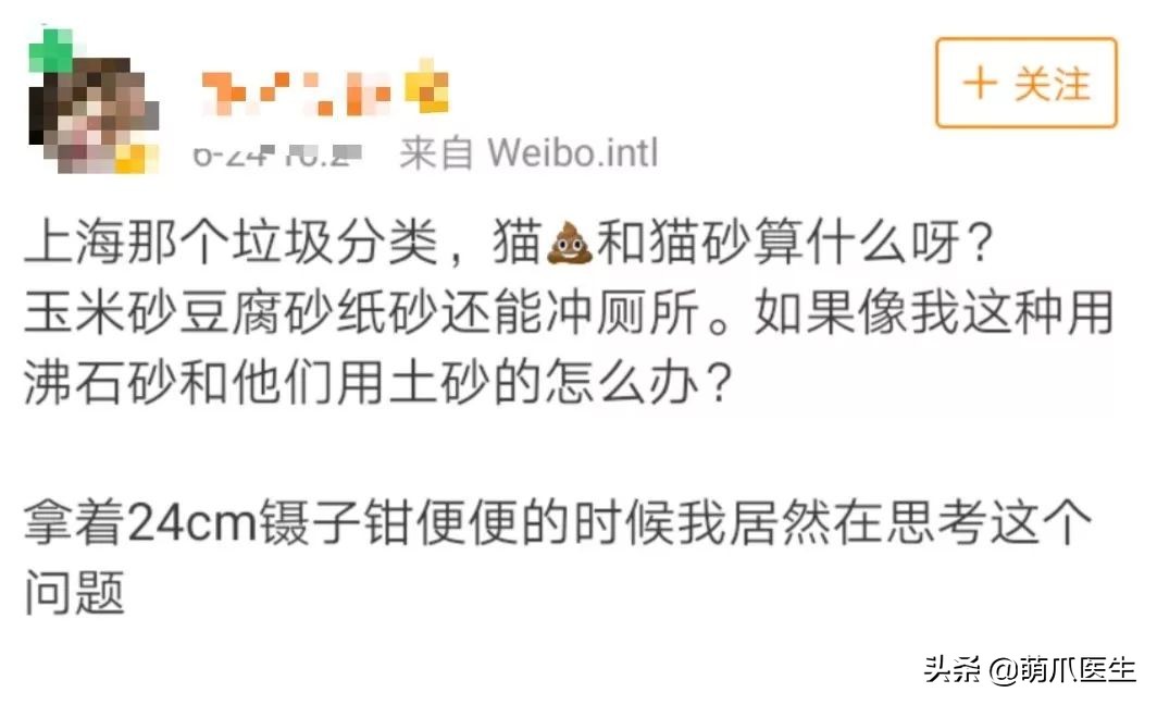 猫砂算垃圾分类的哪一种,猫砂垃圾分类怎么处理