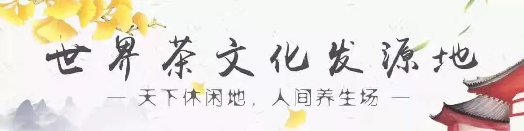 我们争分夺秒加班加点,就是为了奉上今春这第一波蒙顶皇茶!