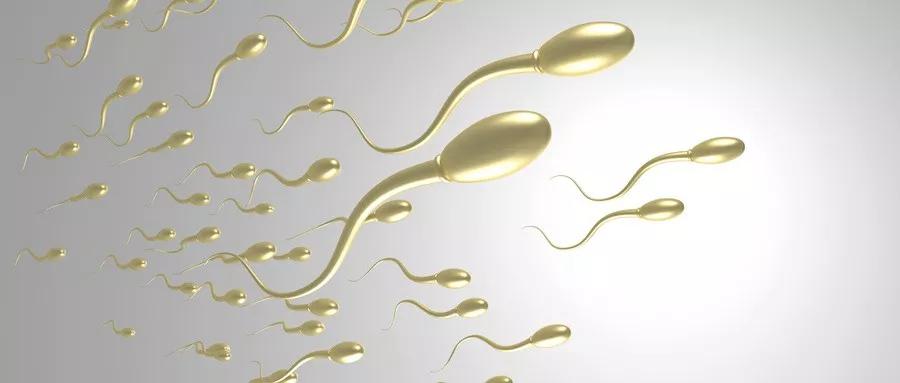 少弱精症怎么办？这些方法助你养好“小蝌蚪”