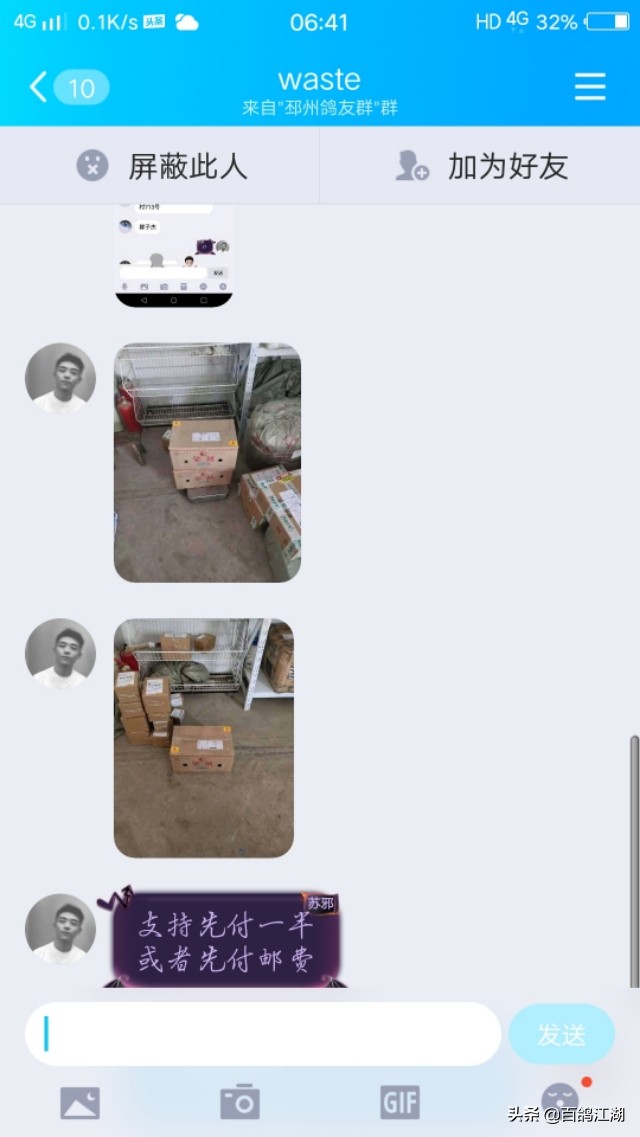 养鸽子是不是骗局,养鸽人买来的教训