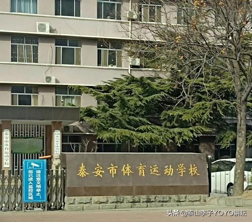 安泰驾校教练招聘,兰州市体育运动学校招聘教练员