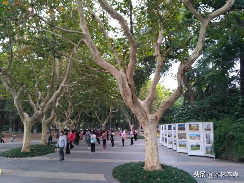 去常州天宁寺拜啥,去天宁寺坐几路车