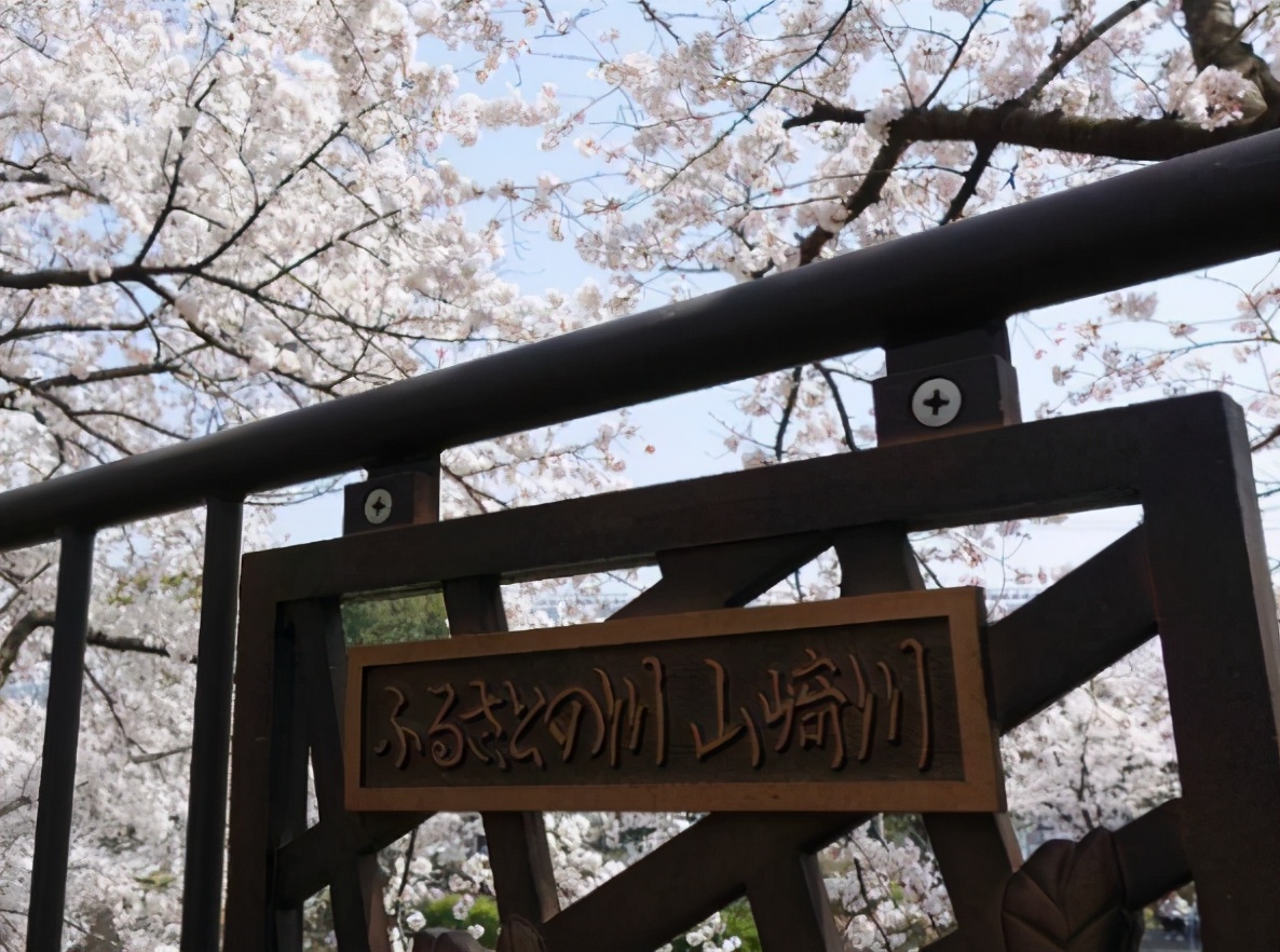 日本爱知县旅游攻略,玩转日本自由行