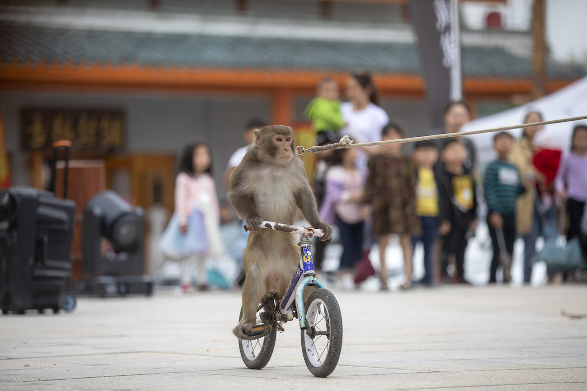 楠嗛┘宸℃父澶滄櫄,楠嗛┘宸℃父