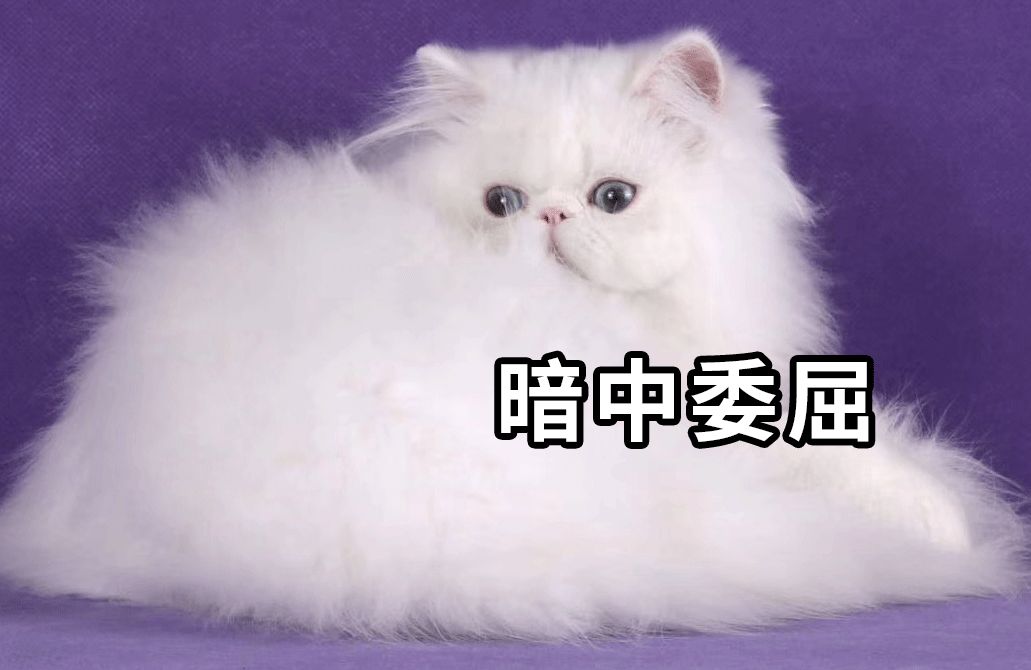 疫情期间如何快速打通现金流,疫情期间如何回笼现金流